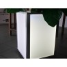 Illuminated planter