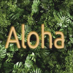 Aloha